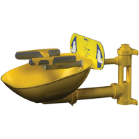 Halo Face/Eyewash Stations, Wall-Mount Installation, Plastic Bowl PB Rental Co. Ltd.