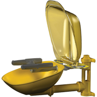 Halo Face/Eyewash Stations, Wall-Mount Installation, Plastic Bowl PB Rental Co. Ltd.