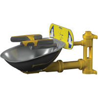 Halo Face/Eyewash Stations, Wall-Mount Installation, Stainless Steel Bowl PB Rental Co. Ltd.