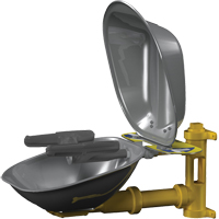Halo Face/Eyewash Stations, Wall-Mount Installation, Stainless Steel Bowl PB Rental Co. Ltd.