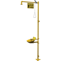 Halo Combination Emergency Shower & Eyewash Station PB Rental Co. Ltd.