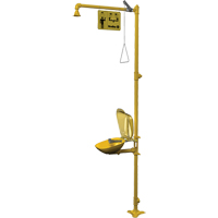 Halo Combination Emergency Shower & Eyewash Station PB Rental Co. Ltd.