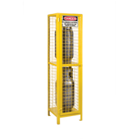 Armoires pour cylindres &agrave; gaz, nbre de bouteilles: 2, 17" , 17" , 69" , Jaune PB Rental Co. Ltd.