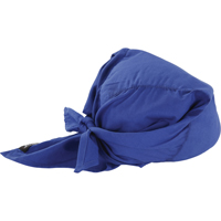Foulards de refroidissement en triangle Chill-Its 6710CT, Bleu PB Rental Co. Ltd.