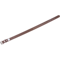 Leg Straps PB Rental Co. Ltd.