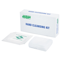Hand Cleansing Kit, Towelette PB Rental Co. Ltd.