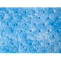 Balayage absorbant pour huile seulement PB Rental Co. Ltd.