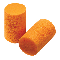 Howard Leight FirmFit Disposable Earplugs, Bulk - B PB Rental Co. Ltd.