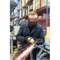Z2300 Series Safety Shield Goggles, Clear Lens, Anti-Fog, Indirect Vent PB Rental Co. Ltd.