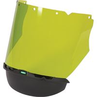 Faceshield Visors