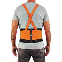 ProFlex 100HV Economy Spandex Hi-Vis Back Support Brace, Elastic, Small PB Rental Co. Ltd.