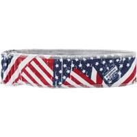 Chill-Its 6605 Cooling Headbands, Multi-Colour PB Rental Co. Ltd.