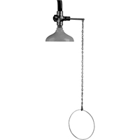 Lifesaver&reg; Emergency Overhead Showers, Ceiling-Mount PB Rental Co. Ltd.