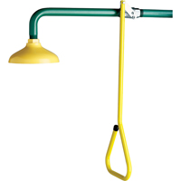 Lifesaver&reg; Emergency Overhead Showers, Wall-Mount PB Rental Co. Ltd.
