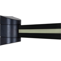 Unit&eacute;s murales Tensabarrier, Plastique, Fixation par vis, 15', Ruban Noir PB Rental Co. Ltd.