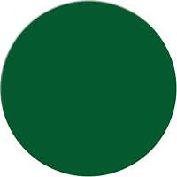 Marqueurs all&eacute;g&eacute;e/5S Armor Stripe, Cercle, 6" lo x 6" la, Vert, Plastique PB Rental Co. Ltd.