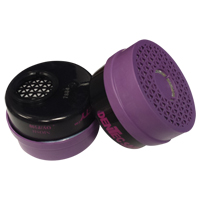 Respirator Cartridge, Combination Gas/Vapour Cartridge and Particulate Filter, Organic Vapour/P100 Filter PB Rental Co. Ltd.