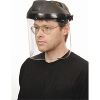 North&reg; Faceshield for Protecto-Shield&reg; Prolok&reg; Headgear, Polycarbonate, Clear Tint PB Rental Co. Ltd.