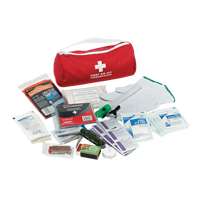 Dynamic Car First Aid Kit, Class 1 Medical Device, Nylon Bag PB Rental Co. Ltd.
