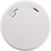 Photoelectric Smoke Alarm PB Rental Co. Ltd.