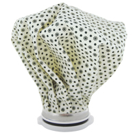 Ice Bag PB Rental Co. Ltd.