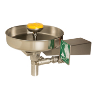 Eye/Face Wash Station, Wall-Mount Installation, Stainless Steel Bowl PB Rental Co. Ltd.