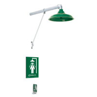 Freeze Protected Drench Shower, Wall-Mount PB Rental Co. Ltd.