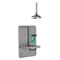 Eye/Face Wash and Shower, Ceiling-Mount PB Rental Co. Ltd.