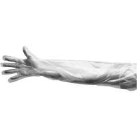 Gants jetables, Grand, Poly&eacute;thyl&egrave;ne, 9 mils, Poudr&eacute;s, Transparent PB Rental Co. Ltd.