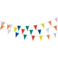 Cordon de fanions, 60' lo, Multicolore PB Rental Co. Ltd.