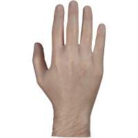 Disposable Gloves, Small, Vinyl, 4-mil, Powder-Free, White PB Rental Co. Ltd.