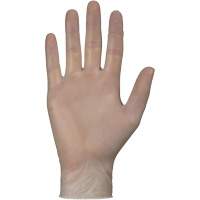 Disposable Gloves, Small, Vinyl, 4-mil, Powder-Free, White PB Rental Co. Ltd.