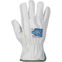 Gants r&eacute;sistant &agrave; la coupure et &agrave; l'arc &eacute;lectrique Endura, T-petit, 10" lo, 36 cal/cm², Niveau 3, NFPA 70E PB Rental Co. Ltd.