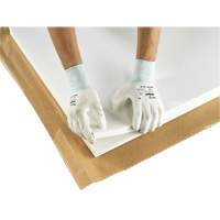 PX140 Coated Gloves, 6/X-Small, Polyurethane Coating, 15 Gauge, Nylon Shell PB Rental Co. Ltd.