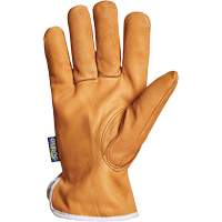 Endura&reg; Driver's Glove, Small, Grain Goatskin Palm, Thinsulate Inner Lining PB Rental Co. Ltd.