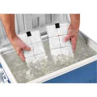 Sachets pour veste de refroidissement &agrave; changement de phase 6260 Chill-Its PB Rental Co. Ltd.