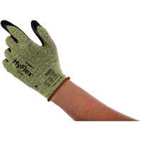 HyFlex&reg; 11-550 Cut Resistant Gloves, 6, 15 Gauge, Nitrile Coated, ASTM ANSI Level A2/EN 388 Level B PB Rental Co. Ltd.
