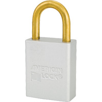 Cadenas de s&eacute;curit&eacute; American Lock, Transparent, Cl&eacute;s identiques, Aluminium, Largeur de 1-1/2" PB Rental Co. Ltd.