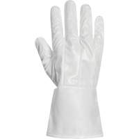 Ground Hog Electro-Static Spray Painting Gloves, Size Large, 11.5" L, Polyurethane PB Rental Co. Ltd.