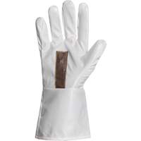 Ground Hog Electro-Static Spray Painting Gloves, Size Large, 11.5" L, Polyurethane PB Rental Co. Ltd.