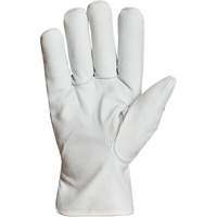 Gants de conducteur doubl&eacute;s pour l'hiver Endura, T-Grand, Paume en Cuir fleur de ch&egrave;vre, Thinsulate PB Rental Co. Ltd.
