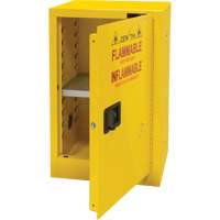 Flammable Storage Cabinet, 12 gal., 1 Door, 23" W x 35" H x 18" D PB Rental Co. Ltd.