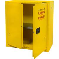 Flammable Storage Cabinet, 30 gal., 2 Door, 43" W x 44" H x 18" D PB Rental Co. Ltd.
