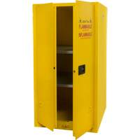Flammable Storage Cabinet, 60 gal., 2 Door, 34" W x 65" H x 34" D PB Rental Co. Ltd.
