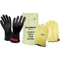 Voltage Rated Gloves