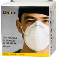 Disposable Nuisance Dust Mask PB Rental Co. Ltd.