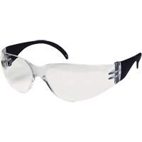 CeeTec Safety Glasses, Clear Lens, Anti-Fog/Anti-Scratch, Meets/Exceeds CSA Z94.3 PB Rental Co. Ltd.