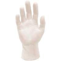 Synthetic Stretch Medical Examination Gloves, Large, Vinyl, 5-mil, Powder-Free, White, Class 2 PB Rental Co. Ltd.