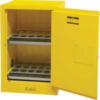 Flammable Aerosol Storage Cabinet, 12 gal., 1 Door, 23" W x 35" H x 18" D PB Rental Co. Ltd.
