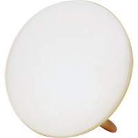 Jumbo Therapy Light for Seasonal Affective Disorder PB Rental Co. Ltd.